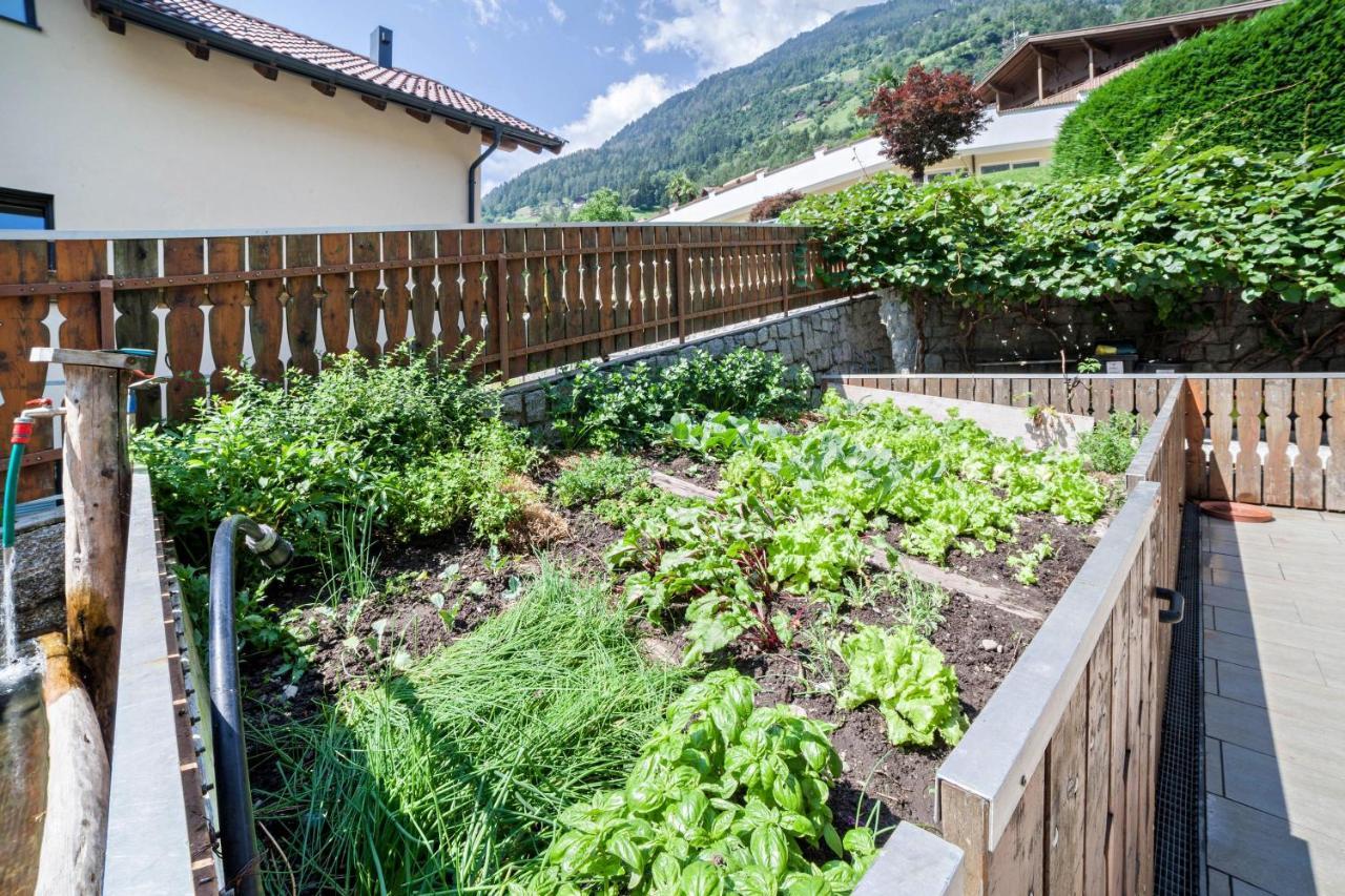 Sonnenparadies Apartement 4 Saltusio Dış mekan fotoğraf